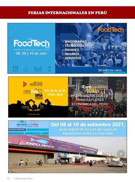 REVISTA CADECOMINPERU 2021-1