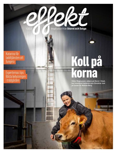 Effekt 1 2021