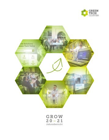 Green Tech Cluster Jahresbericht 2020