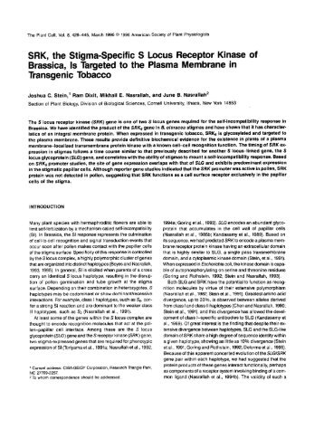 SRK, the Stigma-Specific S Brassica, 1s Targeted to ... - The Plant Cell