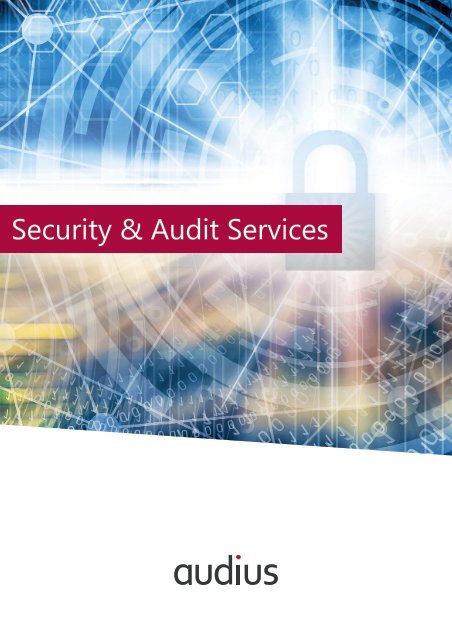 Flyer Security and Audit Services