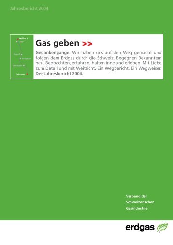 Jahresbericht VSG 2004 - Erdgas