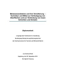 Molassesandsteine und ihre Verwitterung ... - Steinmetz Roth