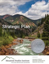 Mountain Studies Institute Strategic Plan 2021-2023