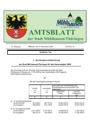 1. Nachtragshaushaltssatzung der Stadt Mühlhausen/Thüringen für ...