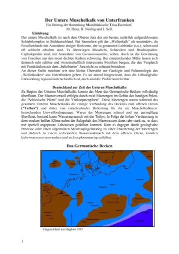 Der Untere Muschelkalk von Unterfranken - Steinkern