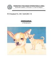 FCI-Standard Chihuahua