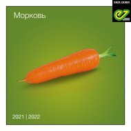Морковь 2021 | 2022