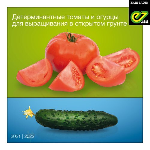 Детерминантные томаты и огурцы для выращивания в открытом грунте 2021 | 2022