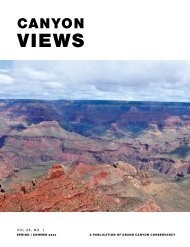 Canyon Views Spring Summer 2021 | Vol. 28 No.1
