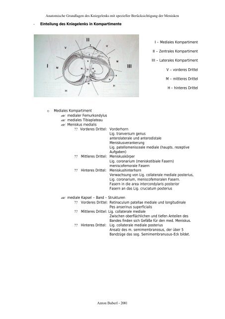 1 Grundlagen der Anatomie des Kniegelenks - buberl . info