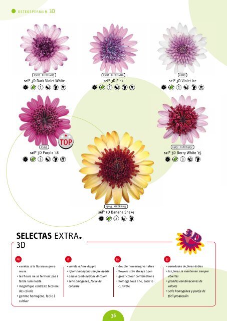 Selecta Spring Annuals and Trixi 21-22 South Europe