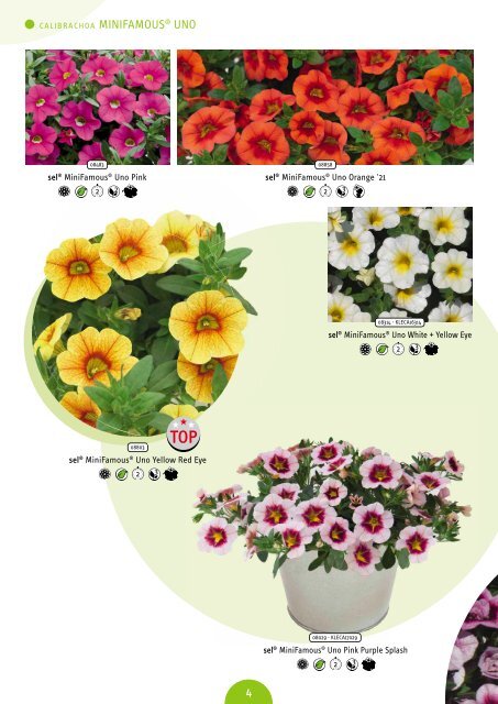 Selecta Spring Annuals and Trixi 21-22 South Europe