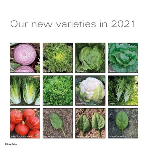 Vegetable Seed Catalogue USA & Canada 2021