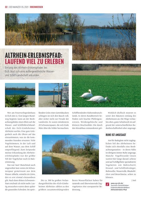 DER MAINZER - Das Magazin für Mainz und Rheinhessen - Nr. 368