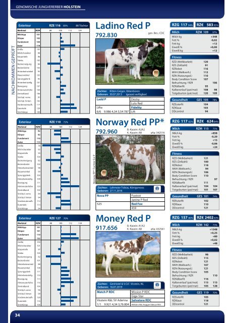 BSG HORNLOSKATALOG 2021/2022