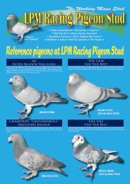 LPM Racing Pigeon Stud - Central Cumberland Racing Pigeon ...