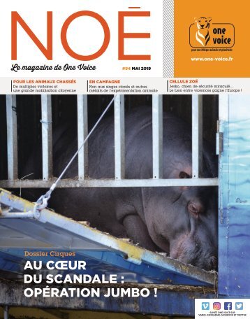 Noé 94