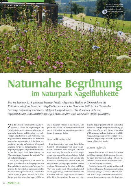 Nagelfluh 1-2021