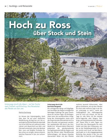 Hoch zur Ross über Stock und Stein