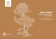 Pinus Cembra catalogue français