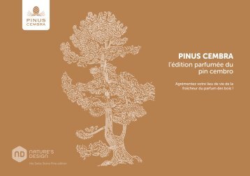 Pinus Cembra catalogue français