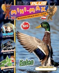 MINI-MAX-PLUS-000-April 2021