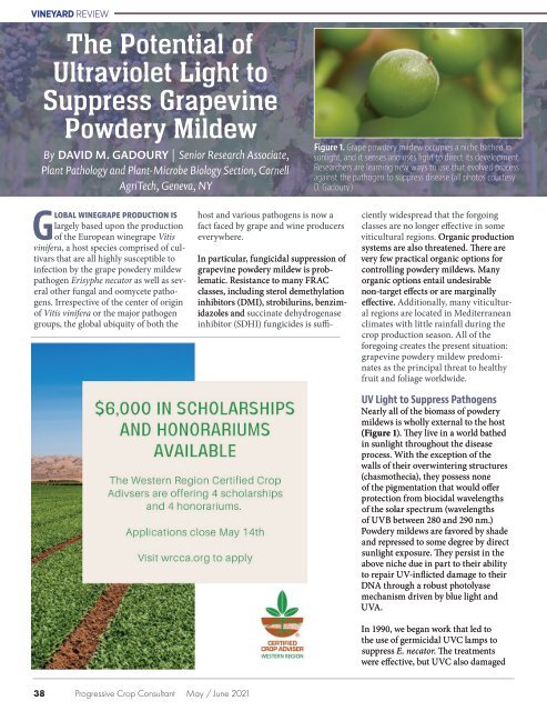 Progressive Crop Consultant May/June 2021