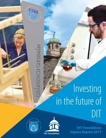 DIT Foundation Donor Report 2017