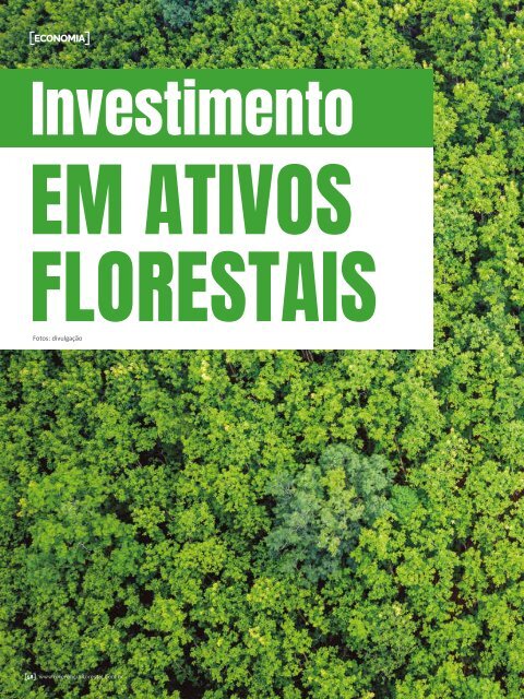 *Maio/2021 Referência Florestal 229