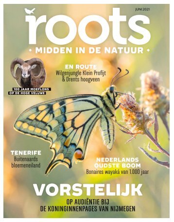 Roots editie 6 - 2021 - inkijkexemplaar