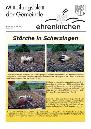 Störche in Scherzingen - Gemeinde Ehrenkirchen