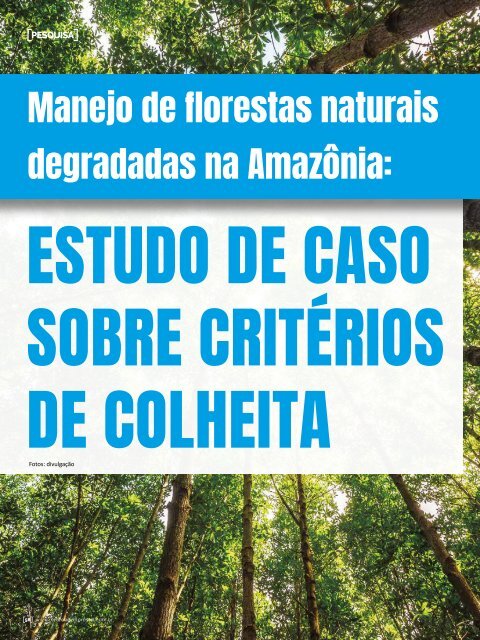 *Abril/2021 Referência Florestal 228