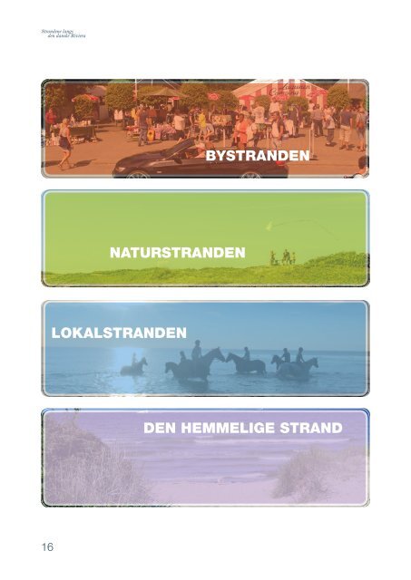 Udvikling af strandene i Nordsjælland