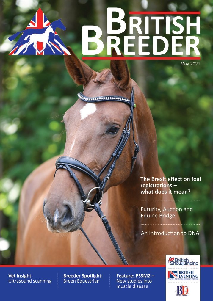 EquineBreeding Magazines