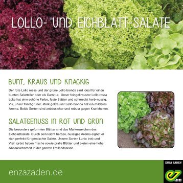 Lollo-und Eichblattsalate für des Gemusegartens