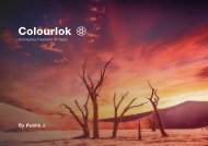 Colourlok Brochure 2021