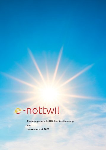 Jahresbericht 2020