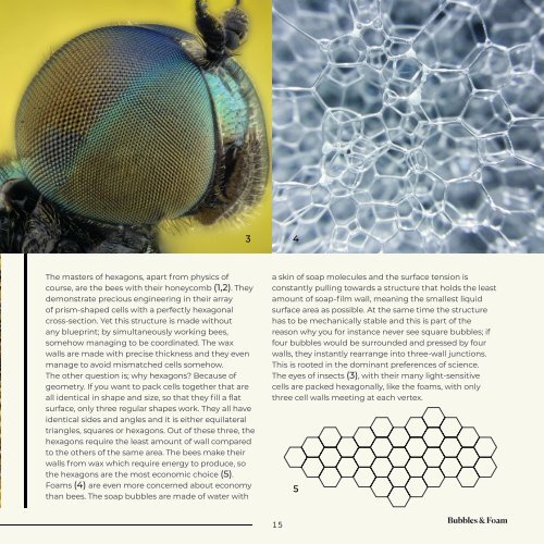 Patterns in Nature, editorial design project by our 2nd-year student Ellen Andersin.