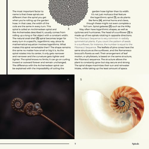 Patterns in Nature, editorial design project by our 2nd-year student Ellen Andersin.