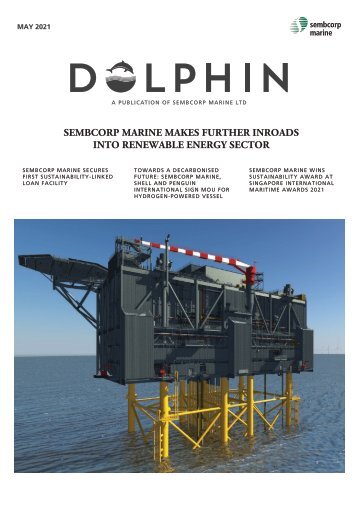 Dolphin May 2021