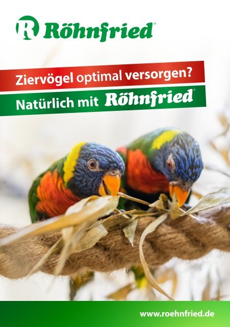 Ziervögel optimal versorgen