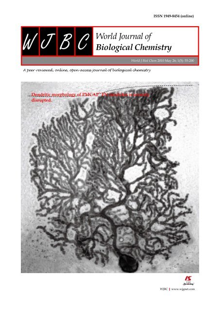 World Journal of Biological Chemistry