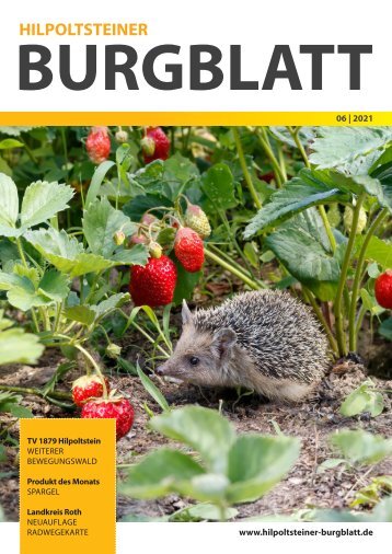 Burgblatt_2021_06_01-40_Druck_NEU