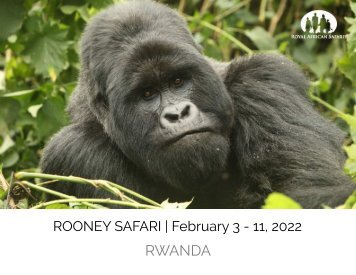 Rooney Safari to Rwanda-compressed