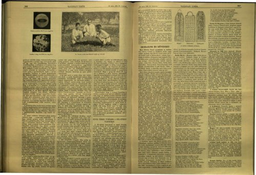 Vasárnapi Ujság - 46. évfolyam, 48. szám, 1899. november 26. - EPA