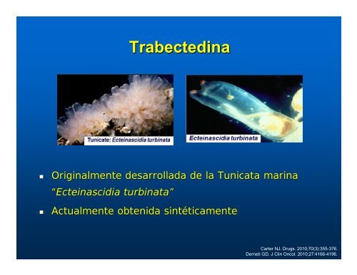 sarcoma de tejidos blandos