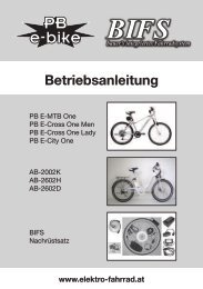 BIFS - Elektro Fahrrad