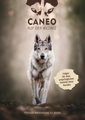 Caneo Salesfolder