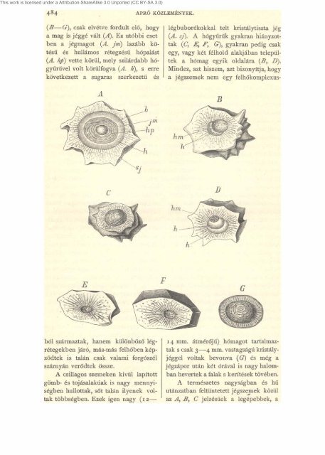 Természettudományi közlöny 26. kötet 301. füzet (1894 ... - EPA